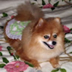 Meet your Posher, Janet